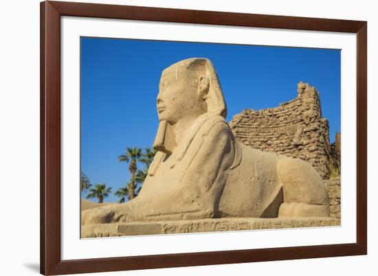 Avenue of Sphinxes, Luxor Temple, UNESCO World Heritage Site, Luxor, Egypt, North Africa, Africa-Jane Sweeney-Framed Photographic Print