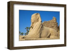 Avenue of Sphinxes, Luxor Temple, UNESCO World Heritage Site, Luxor, Egypt, North Africa, Africa-Jane Sweeney-Framed Photographic Print