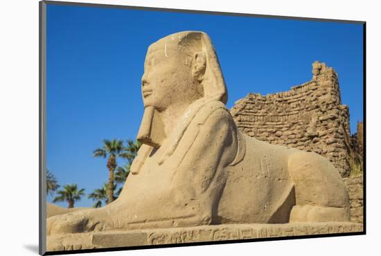 Avenue of Sphinxes, Luxor Temple, UNESCO World Heritage Site, Luxor, Egypt, North Africa, Africa-Jane Sweeney-Mounted Photographic Print