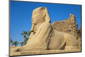 Avenue of Sphinxes, Luxor Temple, UNESCO World Heritage Site, Luxor, Egypt, North Africa, Africa-Jane Sweeney-Mounted Photographic Print