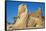 Avenue of Sphinxes, Luxor Temple, UNESCO World Heritage Site, Luxor, Egypt, North Africa, Africa-Jane Sweeney-Framed Stretched Canvas