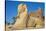 Avenue of Sphinxes, Luxor Temple, UNESCO World Heritage Site, Luxor, Egypt, North Africa, Africa-Jane Sweeney-Stretched Canvas