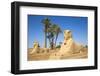 Avenue of Sphinxes, Luxor Temple, UNESCO World Heritage Site, Luxor, Egypt, North Africa, Africa-Jane Sweeney-Framed Photographic Print