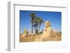 Avenue of Sphinxes, Luxor Temple, UNESCO World Heritage Site, Luxor, Egypt, North Africa, Africa-Jane Sweeney-Framed Photographic Print