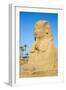 Avenue of Sphinxes, Luxor Temple, UNESCO World Heritage Site, Luxor, Egypt, North Africa, Africa-Jane Sweeney-Framed Photographic Print