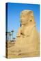 Avenue of Sphinxes, Luxor Temple, UNESCO World Heritage Site, Luxor, Egypt, North Africa, Africa-Jane Sweeney-Stretched Canvas