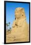 Avenue of Sphinxes, Luxor Temple, UNESCO World Heritage Site, Luxor, Egypt, North Africa, Africa-Jane Sweeney-Framed Photographic Print