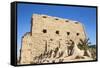 Avenue of Sphinxes, Luxor Temple, UNESCO World Heritage Site, Luxor, Egypt, North Africa, Africa-Jane Sweeney-Framed Stretched Canvas