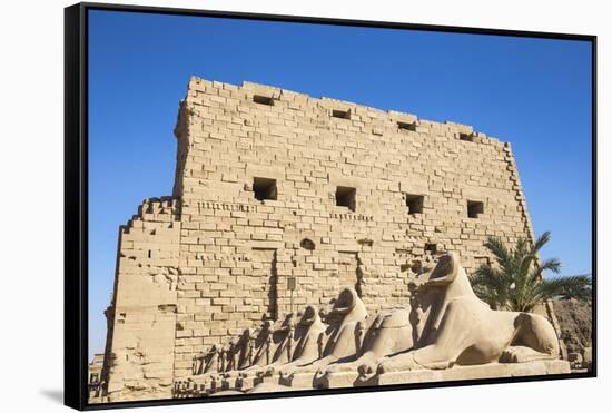 Avenue of Sphinxes, Luxor Temple, UNESCO World Heritage Site, Luxor, Egypt, North Africa, Africa-Jane Sweeney-Framed Stretched Canvas