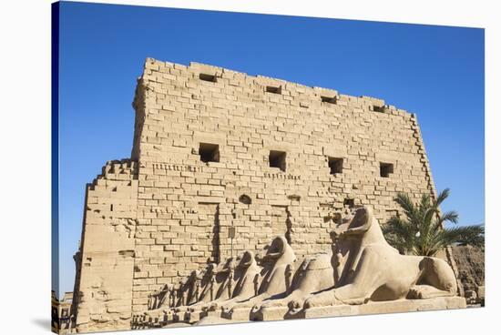 Avenue of Sphinxes, Luxor Temple, UNESCO World Heritage Site, Luxor, Egypt, North Africa, Africa-Jane Sweeney-Stretched Canvas