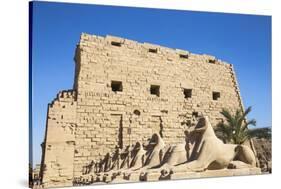 Avenue of Sphinxes, Luxor Temple, UNESCO World Heritage Site, Luxor, Egypt, North Africa, Africa-Jane Sweeney-Stretched Canvas