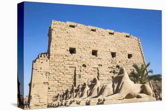 Avenue of Sphinxes, Luxor Temple, UNESCO World Heritage Site, Luxor, Egypt, North Africa, Africa-Jane Sweeney-Stretched Canvas