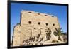 Avenue of Sphinxes, Luxor Temple, UNESCO World Heritage Site, Luxor, Egypt, North Africa, Africa-Jane Sweeney-Framed Photographic Print