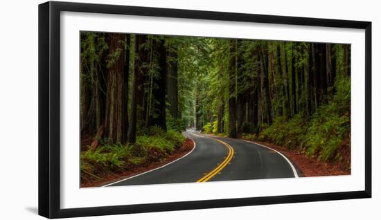 Avenue of the Giants passing through a redwood forest, Humboldt Redwoods State Park, California...-null-Framed Photographic Print