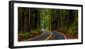 Avenue of the Giants passing through a redwood forest, Humboldt Redwoods State Park, California...-null-Framed Photographic Print