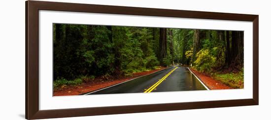 Avenue of the Giants passing through a redwood forest, Humboldt Redwoods State Park, California...-null-Framed Photographic Print