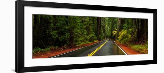 Avenue of the Giants passing through a redwood forest, Humboldt Redwoods State Park, California...-null-Framed Photographic Print