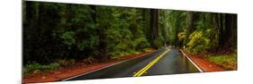 Avenue of the Giants passing through a redwood forest, Humboldt Redwoods State Park, California...-null-Mounted Photographic Print