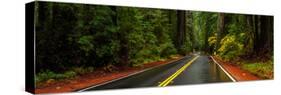 Avenue of the Giants passing through a redwood forest, Humboldt Redwoods State Park, California...-null-Stretched Canvas
