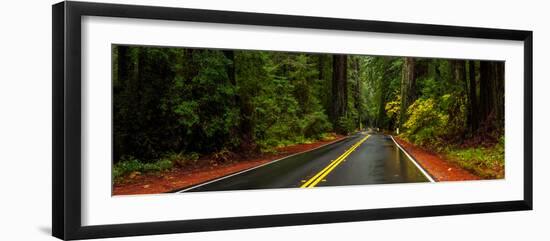 Avenue of the Giants passing through a redwood forest, Humboldt Redwoods State Park, California...-null-Framed Photographic Print