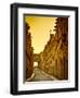 Avenue of the Knights (Ippoton Street), Rhodes Town, Rhodes, Greece-Doug Pearson-Framed Photographic Print