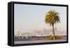 Avenue of the Palma, Treasure Island, Skyline San Francisco, California, Usa-Rainer Mirau-Framed Stretched Canvas