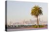 Avenue of the Palma, Treasure Island, Skyline San Francisco, California, Usa-Rainer Mirau-Stretched Canvas