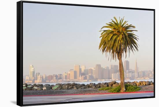 Avenue of the Palma, Treasure Island, Skyline San Francisco, California, Usa-Rainer Mirau-Framed Stretched Canvas