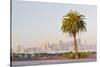 Avenue of the Palma, Treasure Island, Skyline San Francisco, California, Usa-Rainer Mirau-Stretched Canvas