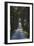 Avenue of Trees, Chiusi, Umbria, Italy, Europe-Charles Bowman-Framed Photographic Print