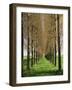 Avenue of Trees, Haute Normandie (Normandy), France-Michael Busselle-Framed Photographic Print