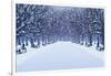 Avenue of Trees, Street Lamps and Benches in a Snow Covered Park-Milovelen-Framed Art Print