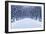 Avenue of Trees, Street Lamps and Benches in a Snow Covered Park-Milovelen-Framed Art Print