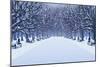 Avenue of Trees, Street Lamps and Benches in a Snow Covered Park-Milovelen-Mounted Art Print