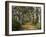 Avenue of Trees, West Cape Howe Np, Albany, Western Australia-Peter Adams-Framed Photographic Print