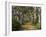 Avenue of Trees, West Cape Howe Np, Albany, Western Australia-Peter Adams-Framed Photographic Print