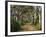 Avenue of Trees, West Cape Howe Np, Albany, Western Australia-Peter Adams-Framed Photographic Print