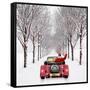 Avenue of Trees with Father Christmas Driving-Ake Lindau and John Daniels-Framed Stretched Canvas