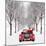 Avenue of Trees with Father Christmas Driving-Ake Lindau and John Daniels-Mounted Photographic Print