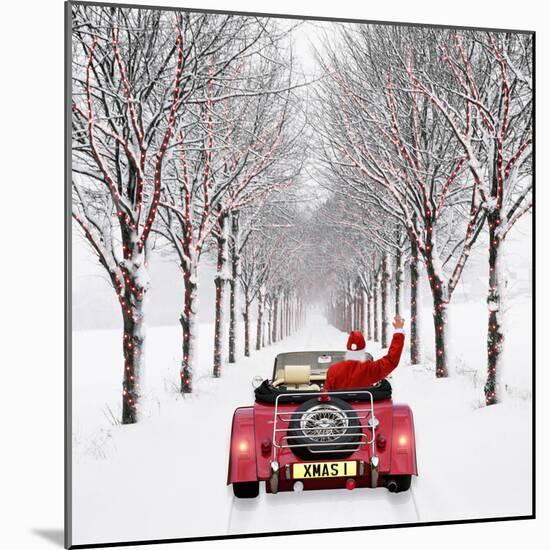 Avenue of Trees with Father Christmas Driving-Ake Lindau and John Daniels-Mounted Photographic Print