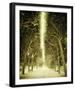 Avenue Shade II-Irene Suchocki-Framed Giclee Print