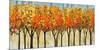 Avenue-Mark Chandon-Mounted Giclee Print