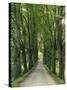 Avenue-Thonig-Stretched Canvas