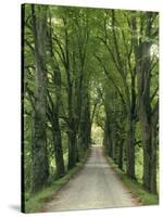 Avenue-Thonig-Stretched Canvas