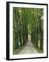 Avenue-Thonig-Framed Photographic Print