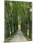 Avenue-Thonig-Mounted Photographic Print