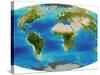 Average Plant Growth of the Earth-null-Stretched Canvas