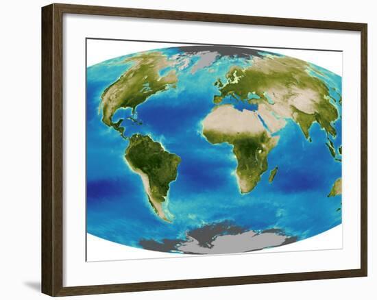 Average Plant Growth of the Earth-null-Framed Photographic Print