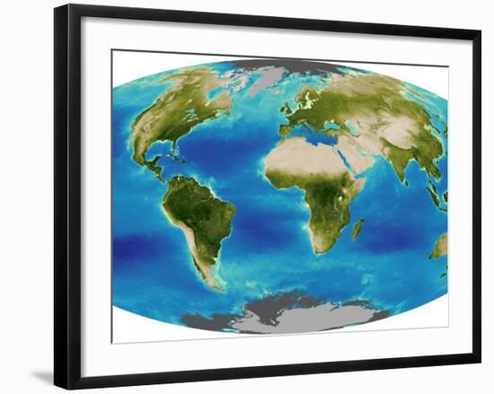 Average Plant Growth of the Earth-null-Framed Photographic Print