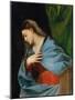 Averoldi Polyptych (detail)-Titian (Tiziano Vecelli)-Mounted Giclee Print